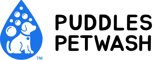 main-logo