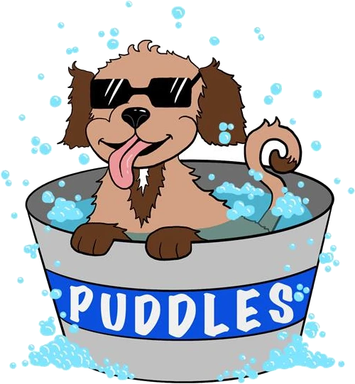 new-logo-puddle
