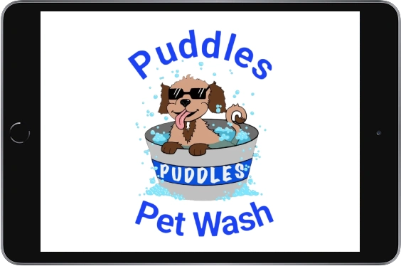 Puddle pet wash